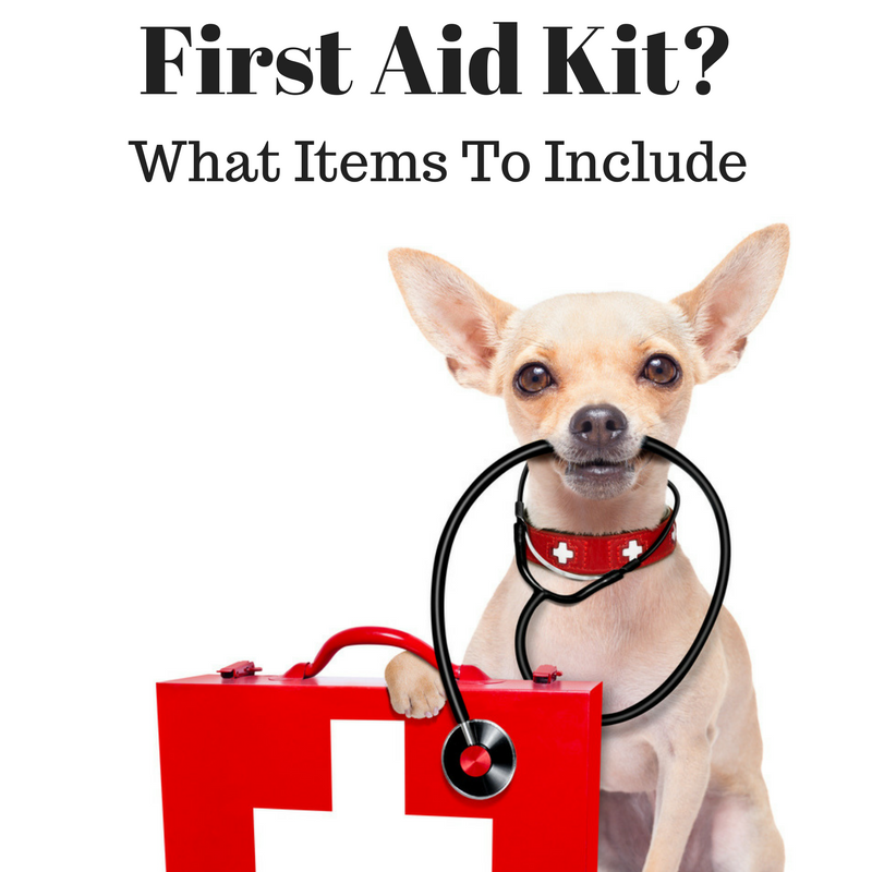 Do You Have Pet First Aid Kit For Your Dog?
