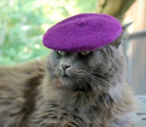 cat beret Cat in a beret