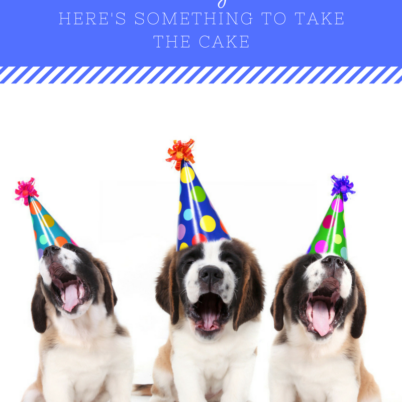 Pet Birthday: Here’s Something To Take The Cake!