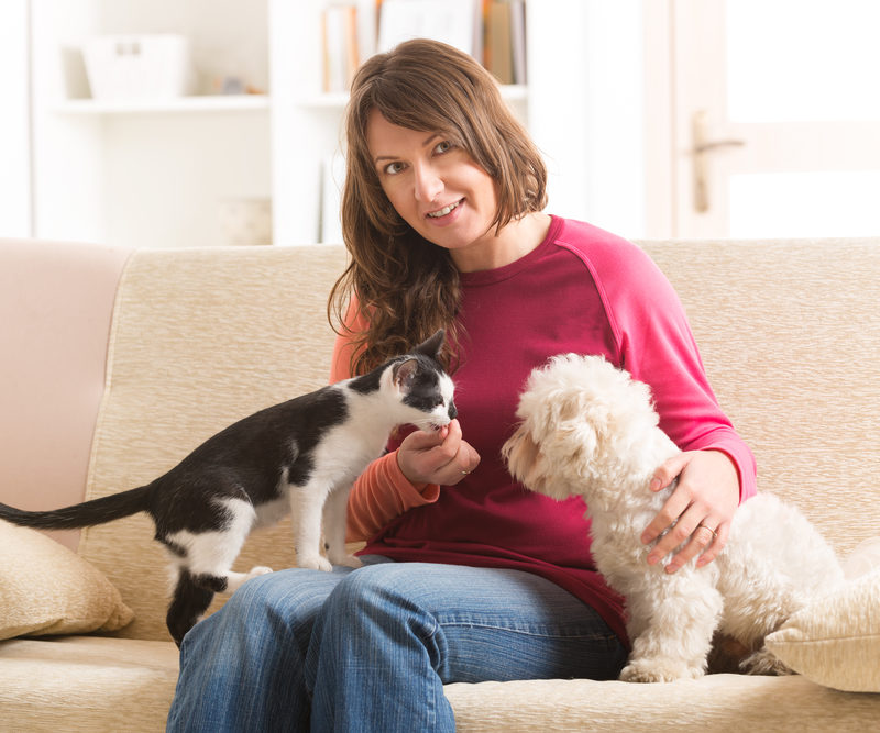What Are Your Responsibilities When Hiring A Pet Sitter?
