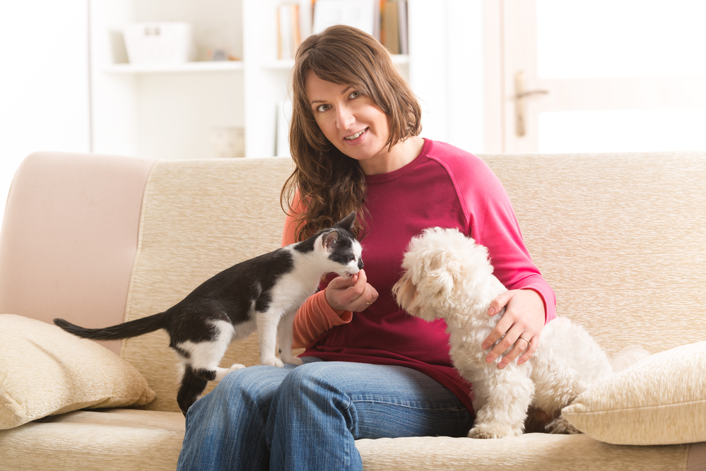 what-are-your-responsibilities-when-hiring-a-pet-sitter-joy-of-living