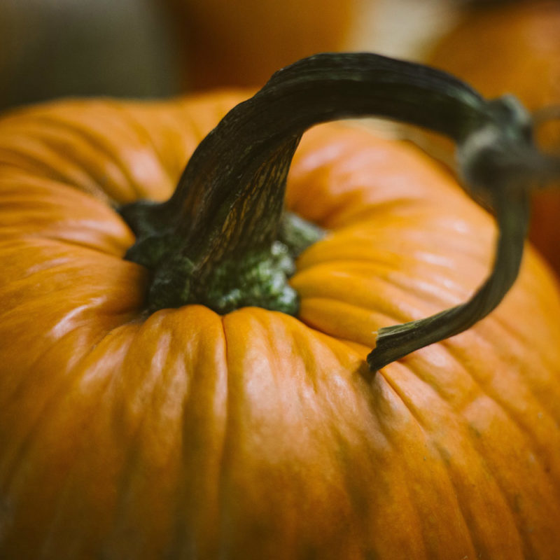 Pumpkin-More Than Just a Jack O’ Lantern