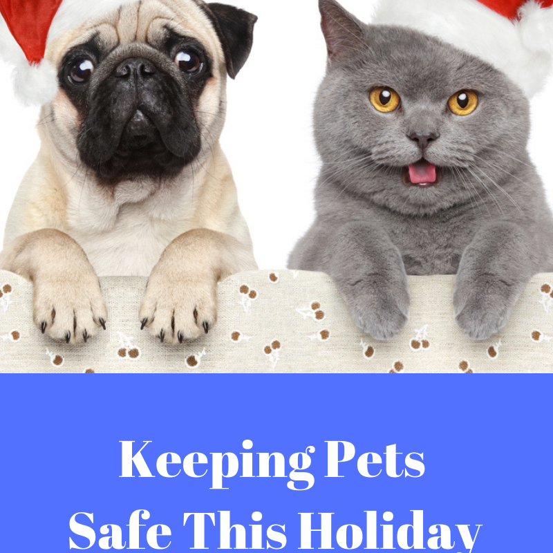 Make the Holidays Safe for Your Pets