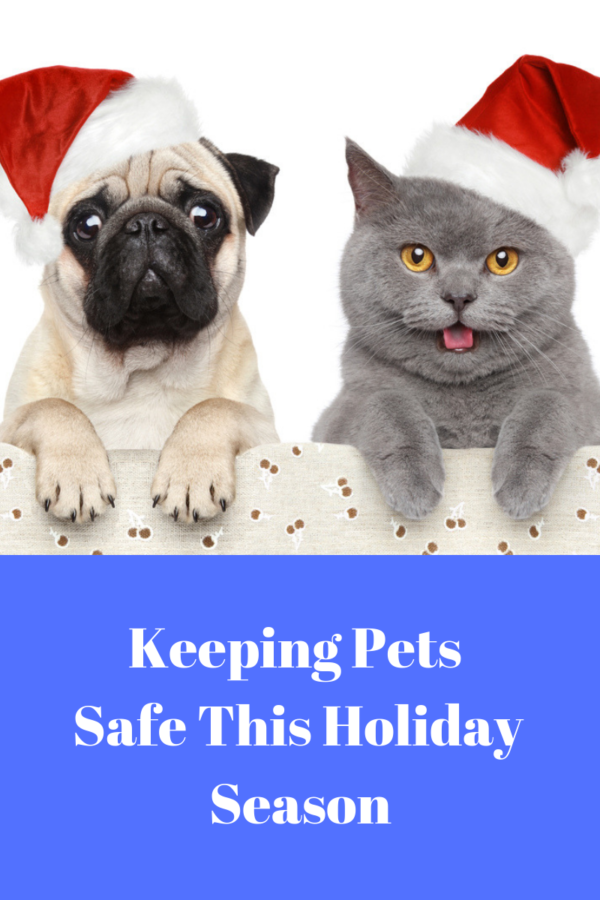 keeping pets safe
