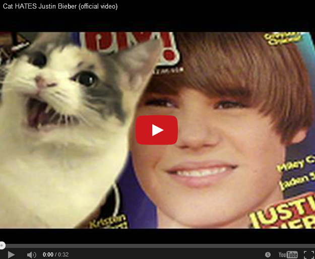 Does This Cat Have Bieber Fever?