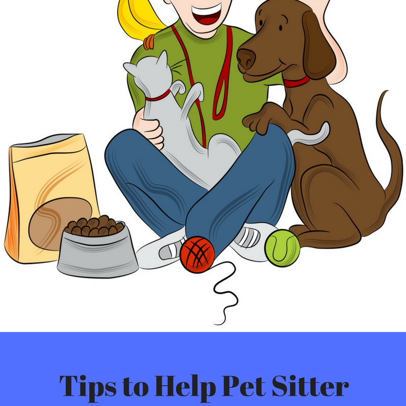 Help Your Pet Sitter Help You