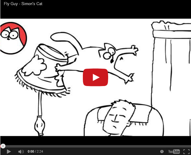 Cats Catching Flies: Is Your Cat A Fly Guy?
