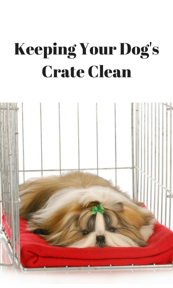 keeping your dog's crate clean