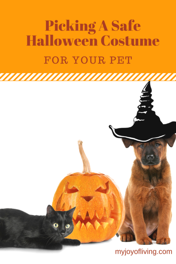 pet halloween costumes