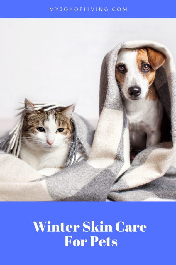 winter skin care for pets