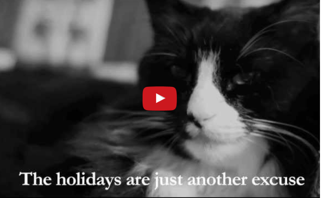 Funny Pet Video:  Henri, Le Chat Noir Reflects On The Holidays