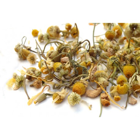 Help Your Dog Relax With Some Herbal Tea