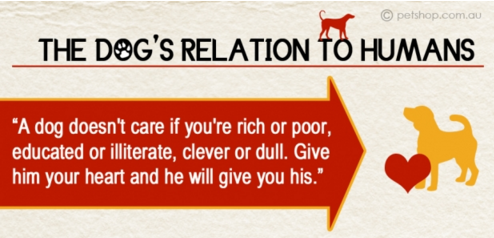 Dog’s Relationship To Humans (Infographic)