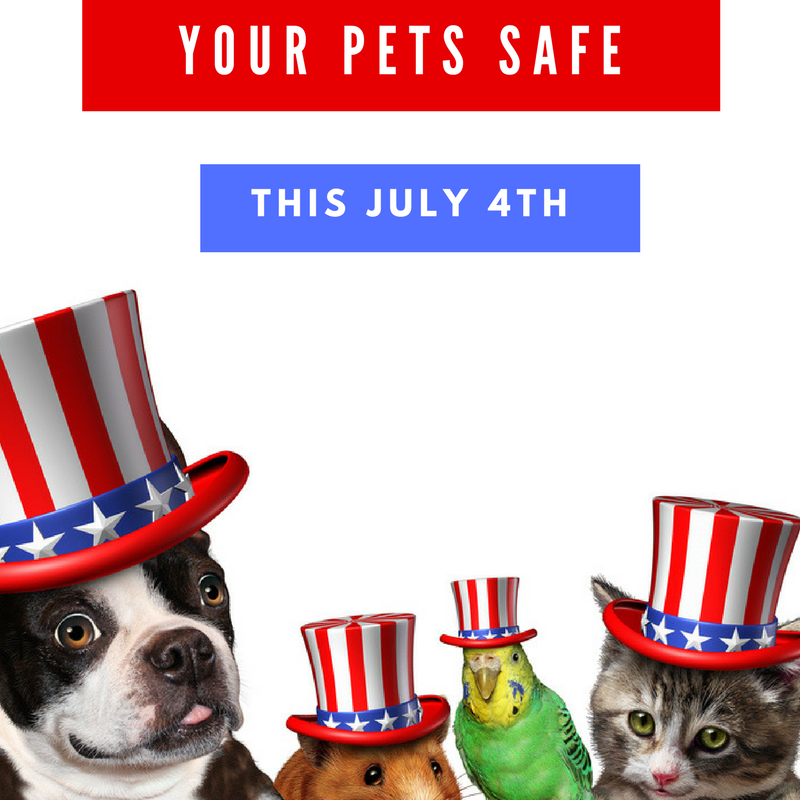 Five Pet Safety Tips For This Fourth of July Holiday!