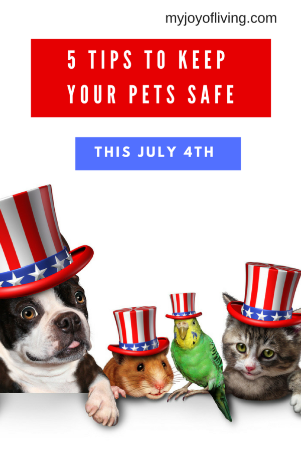 pet safety