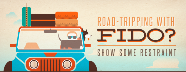 Road Tripping With Your Dog (Infographic)
