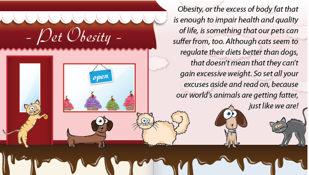 Pet obesity infographic