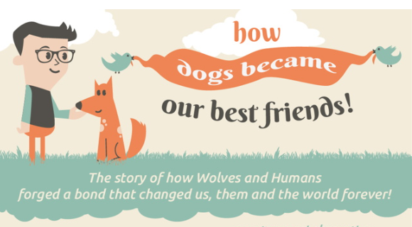 how dogs became best friends infographic