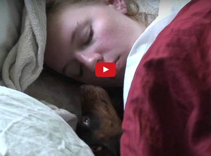 Funny Dog Video:  “Wake Up, Time For Breakfast!”