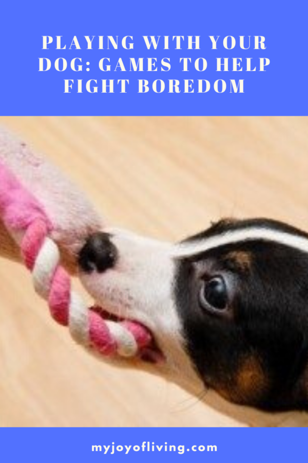 playing with your dog blog graphic