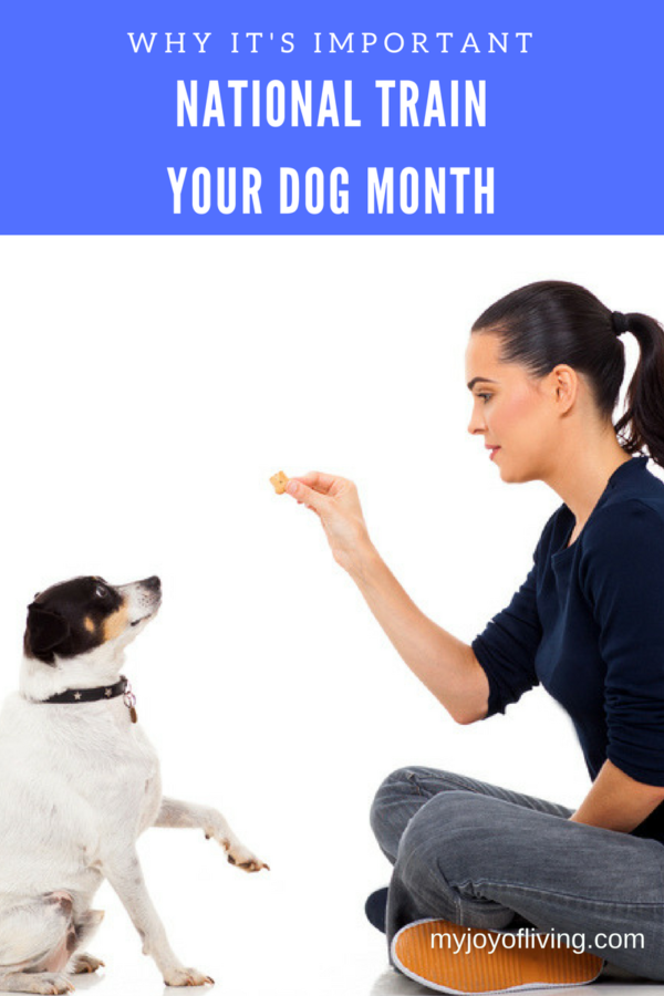 national train your dog month