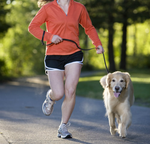 dog jogging with woman