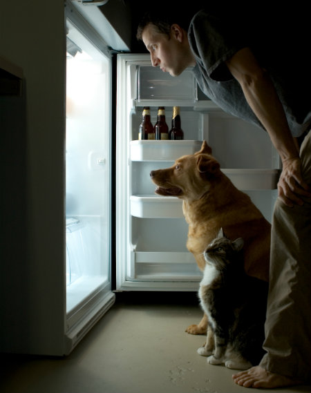 Share snacks with dog
