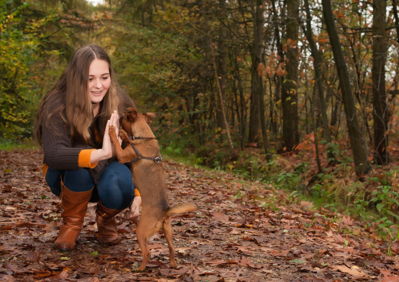 5 Ways To Socialize Your Dog