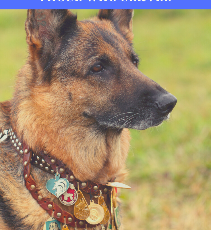 K9 Veterans Day: Honoring Those That Served Our Country