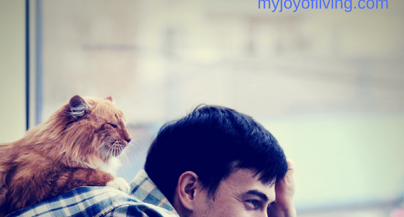 How to Communicate With Cats: No ESP required!