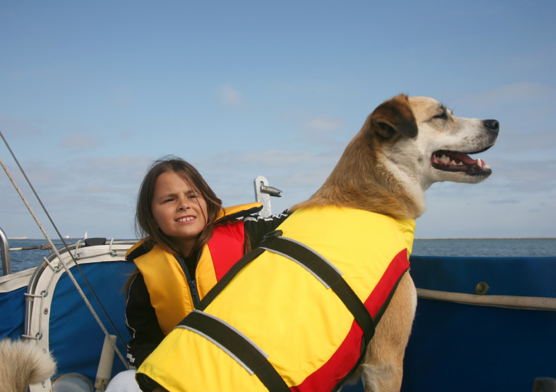 It’s Time to Set Sail!  Is Your Dog Ready for a High Seas Adventure? (Or the lake, at best?)