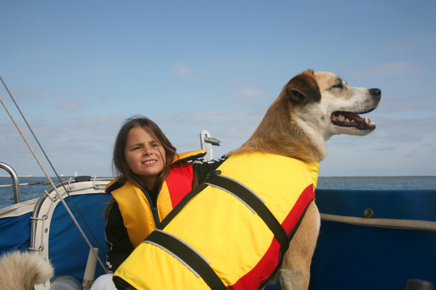 set sail with dog
