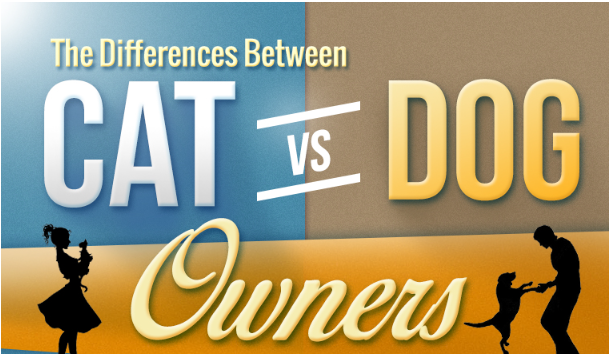 Differences Between Cat People And Dog People (Infographic)