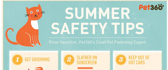 Summer Pet Safety Tips (Infographic)