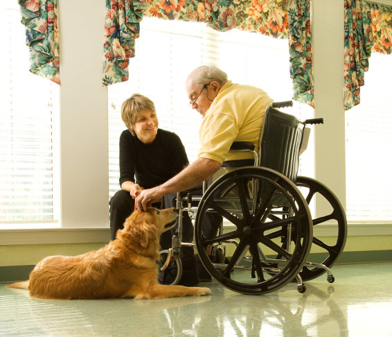 Animal Assisted Therapy:  How Your Dog Can Help With Physical Therapy