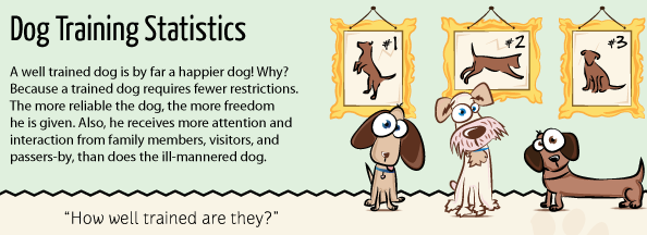 Importance Of Dog Training (Infographic)