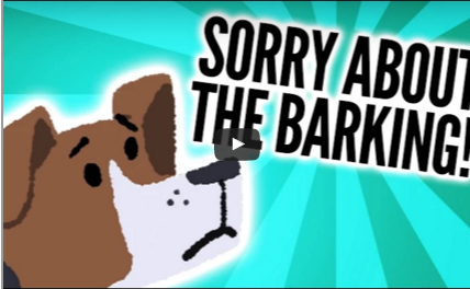 Video:  If Dogs Could Apologize