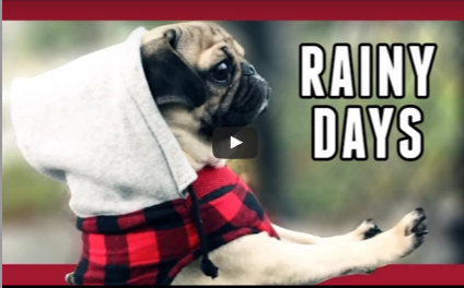 Rainy Days, Fun Days (Video)