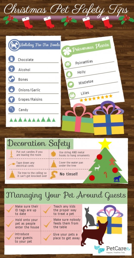 Have A Pet-Perfect Christmas (Infographic)