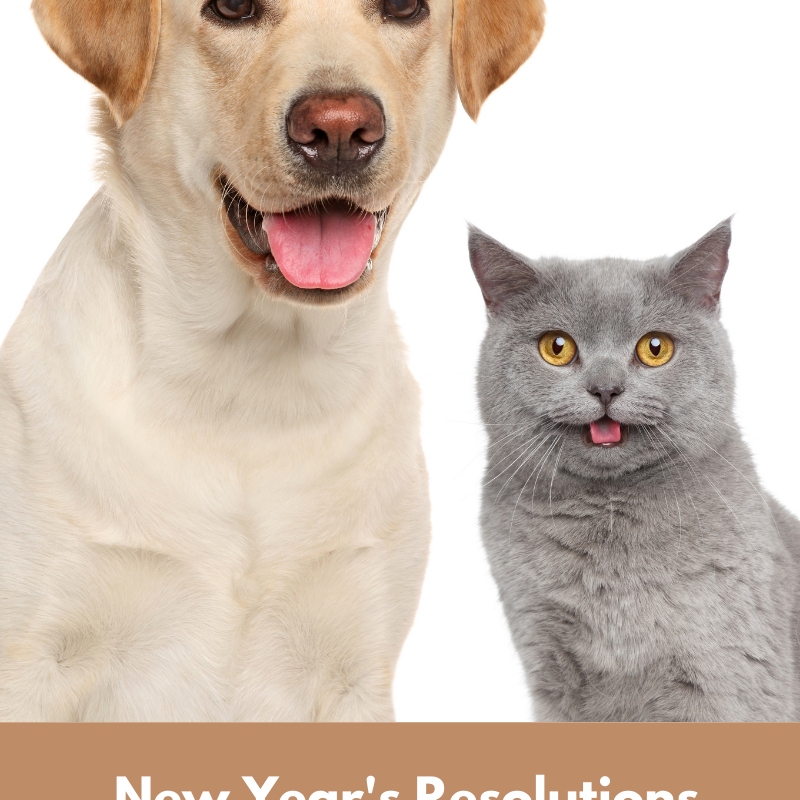 New Year’s Resolutions for You AND Your Pets