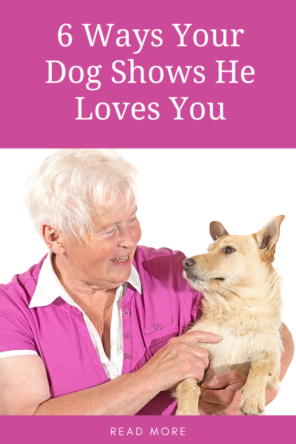 signs your dog loves you with senior woman and her dog looking lovingly at each other