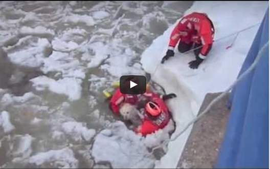 Coast Guard To The Rescue (Video)