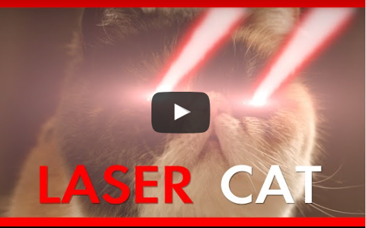 Laser Cat Rules Supreme!  (Video)