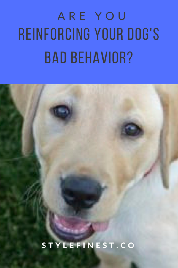 wrong behavior