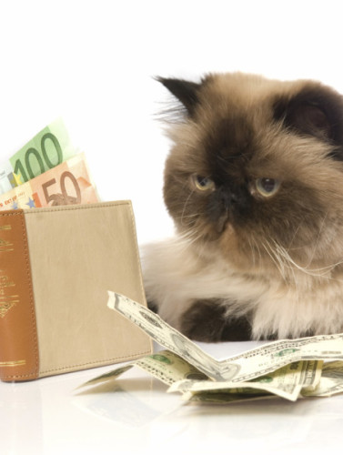 Save Money on Pet Supplies