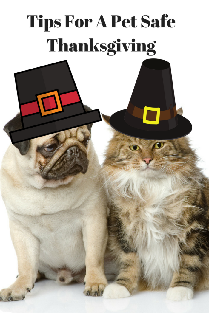 pet safe Thanksgiving