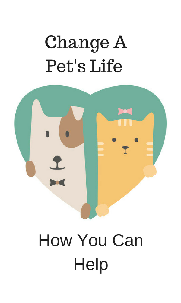 change a pets life
