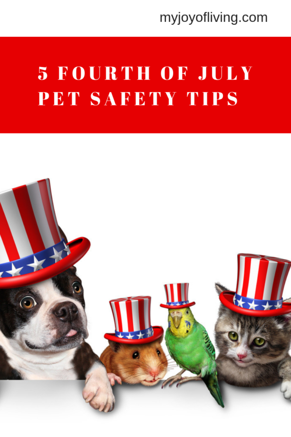 fourth of july pet safety tips