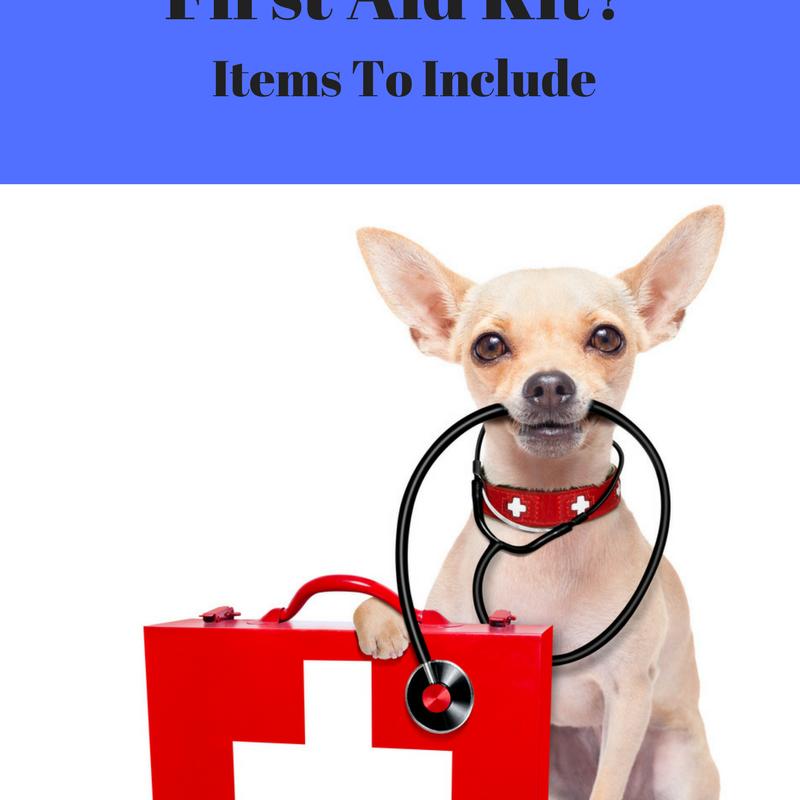 Do You Have Pet First Aid Kit For Your Dog?