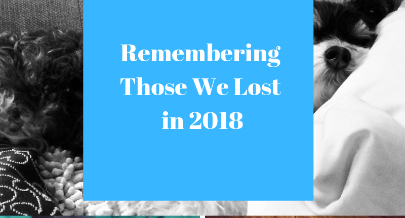 A Memorial: Remembering Friends We Lost in 2018
